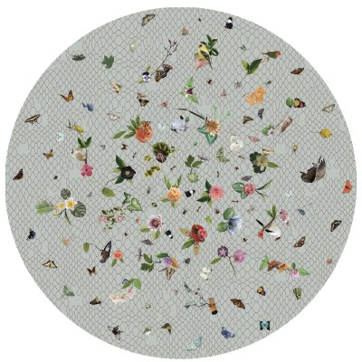 Gamintojo MOOOI fotorealistinių kilimų kolekcija