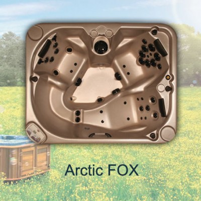 Spa baseinas ARCTIC FOX