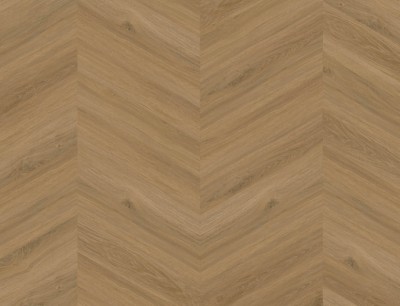 Macadamia IC5580CH58211